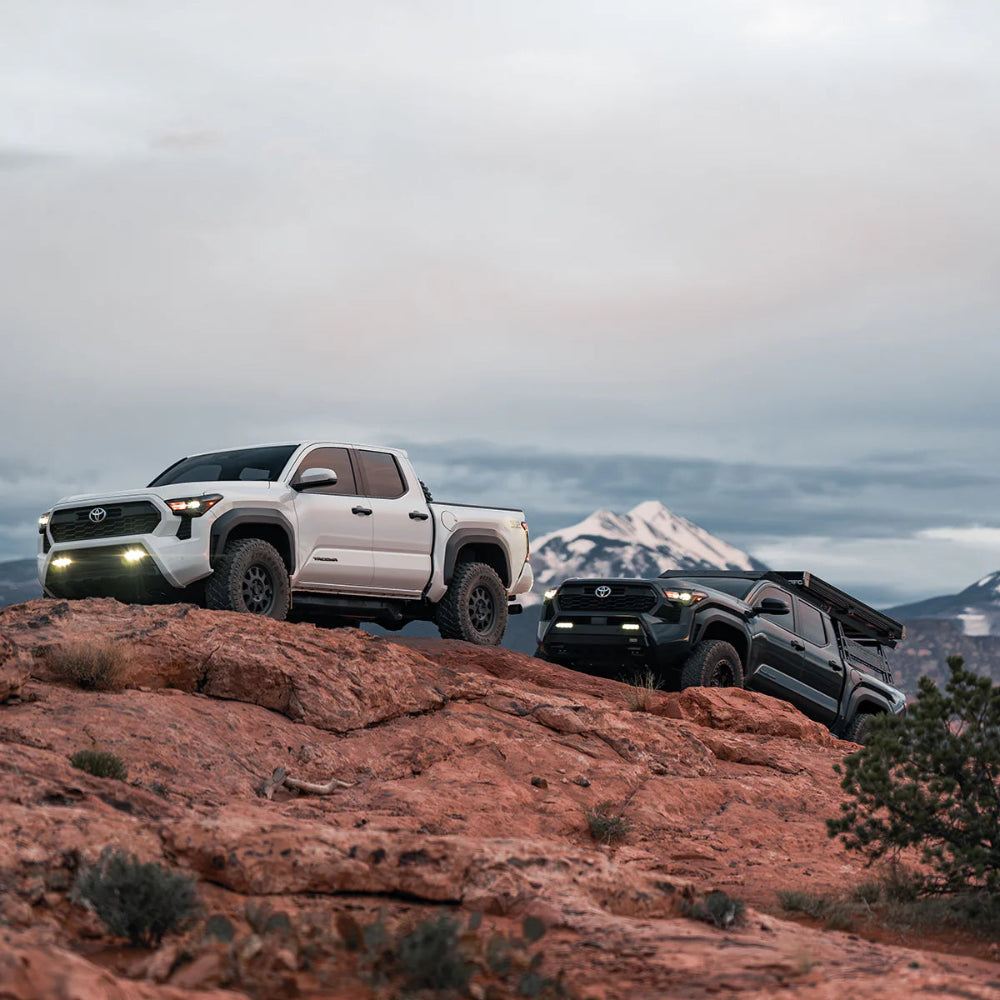 Active Off-Road Rear Bump Stops 4Runner (2025+)