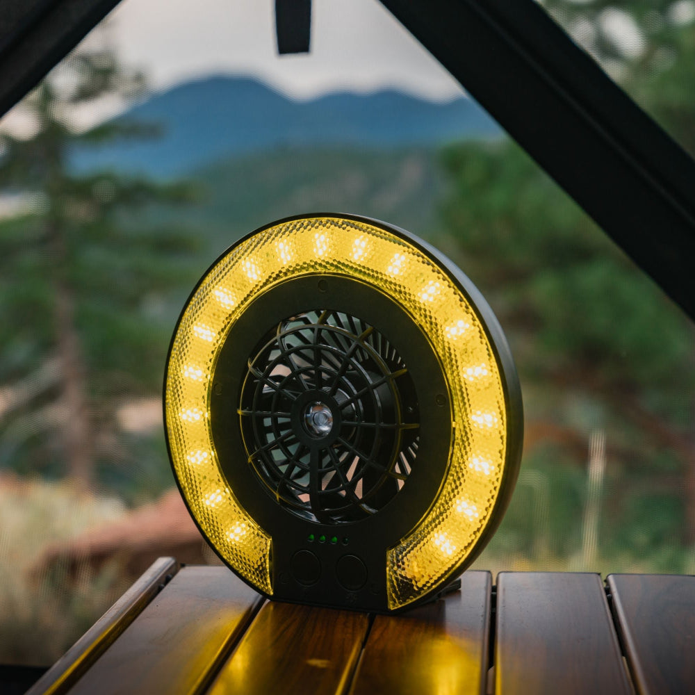 LED Fan Lamp
