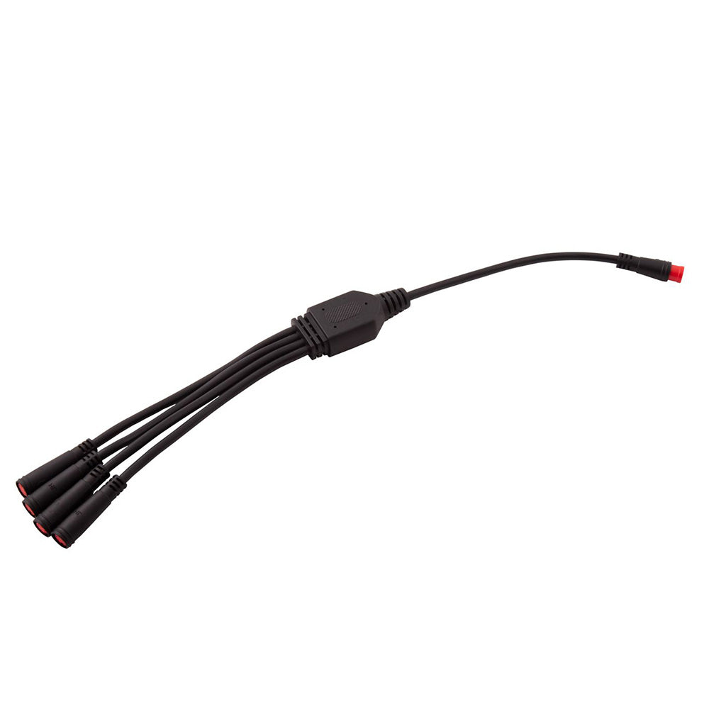 RGBW M8 5-Pin Splitter Wire