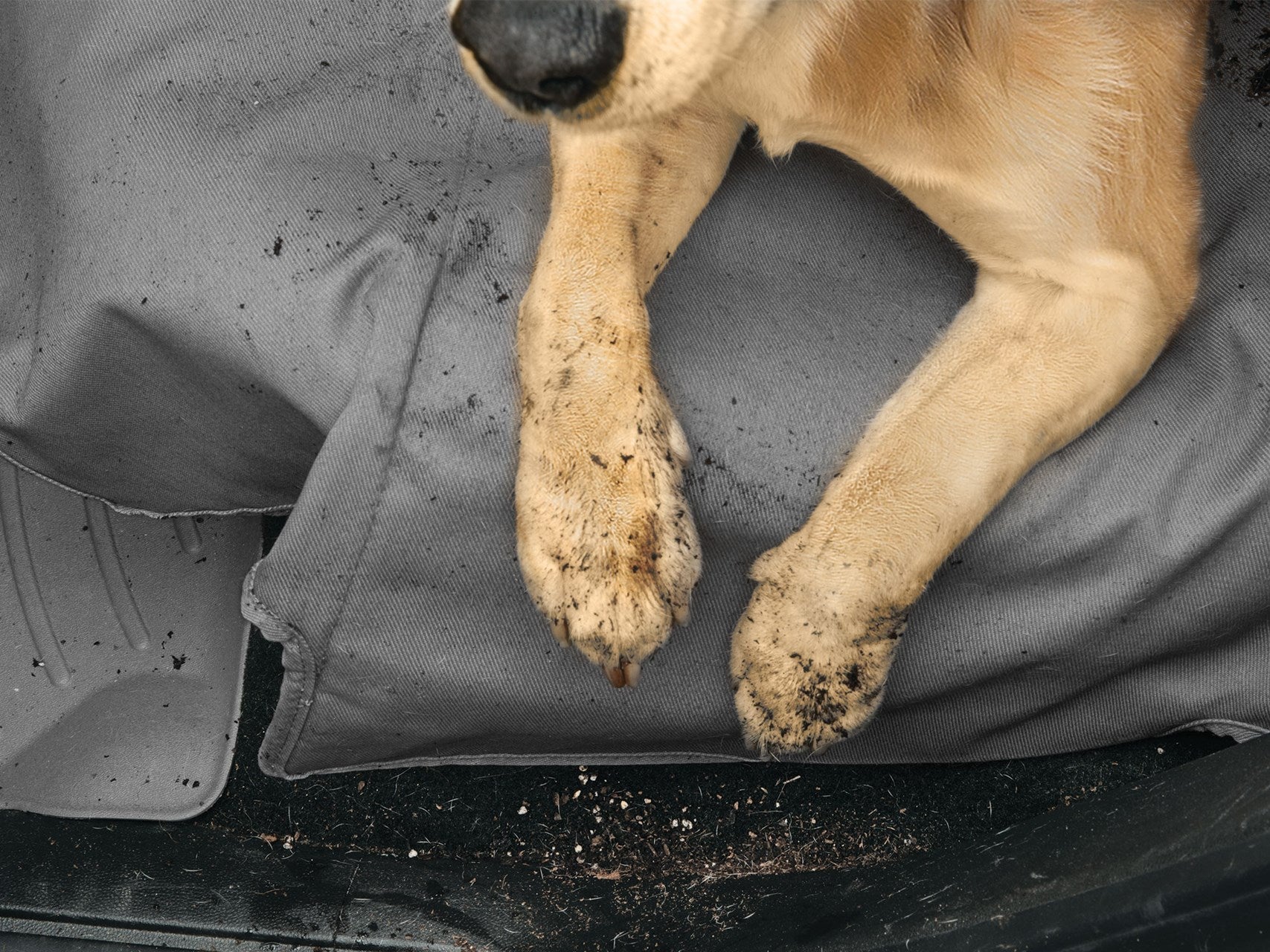 Seat Protectors Tundra (2022+)