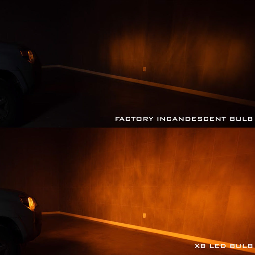 XB LED Bulbs Sequoia (2023+)
