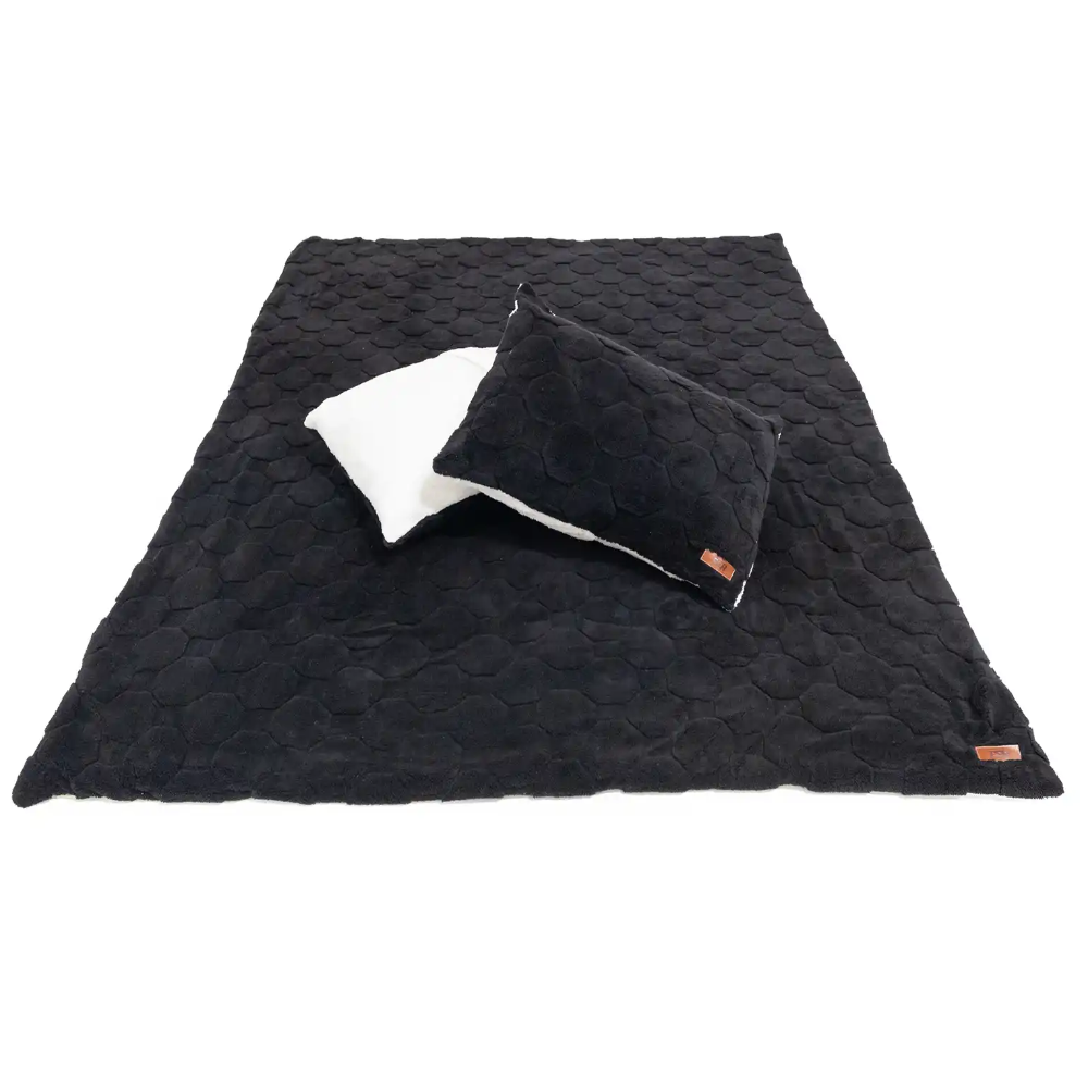 Cloud Comforter & Pillow Case Set