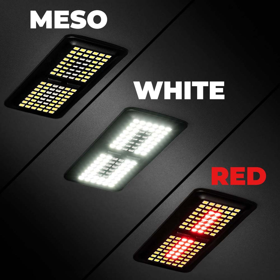Meso Customs
