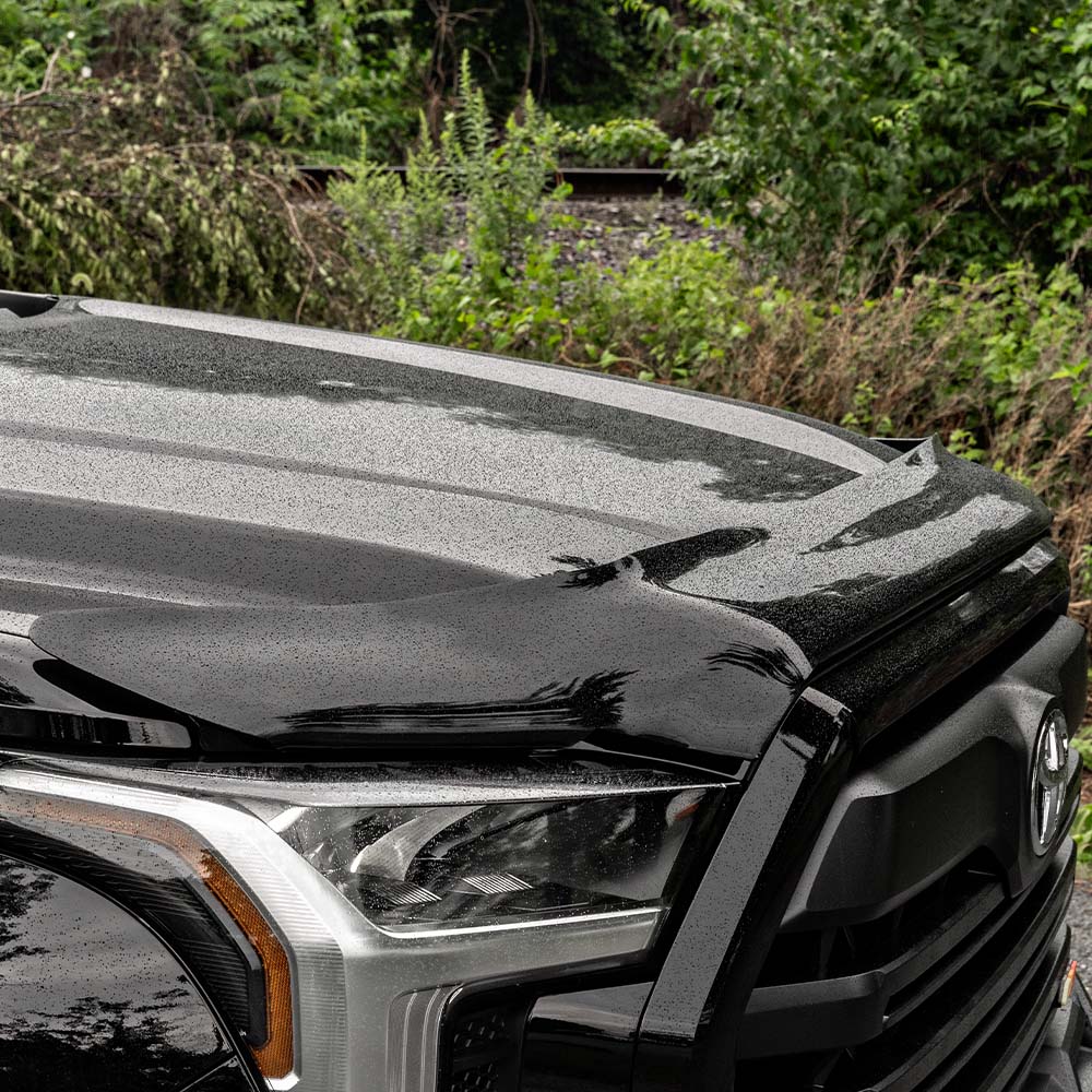 Hood Bugflector Protector Sequoia (2023+)