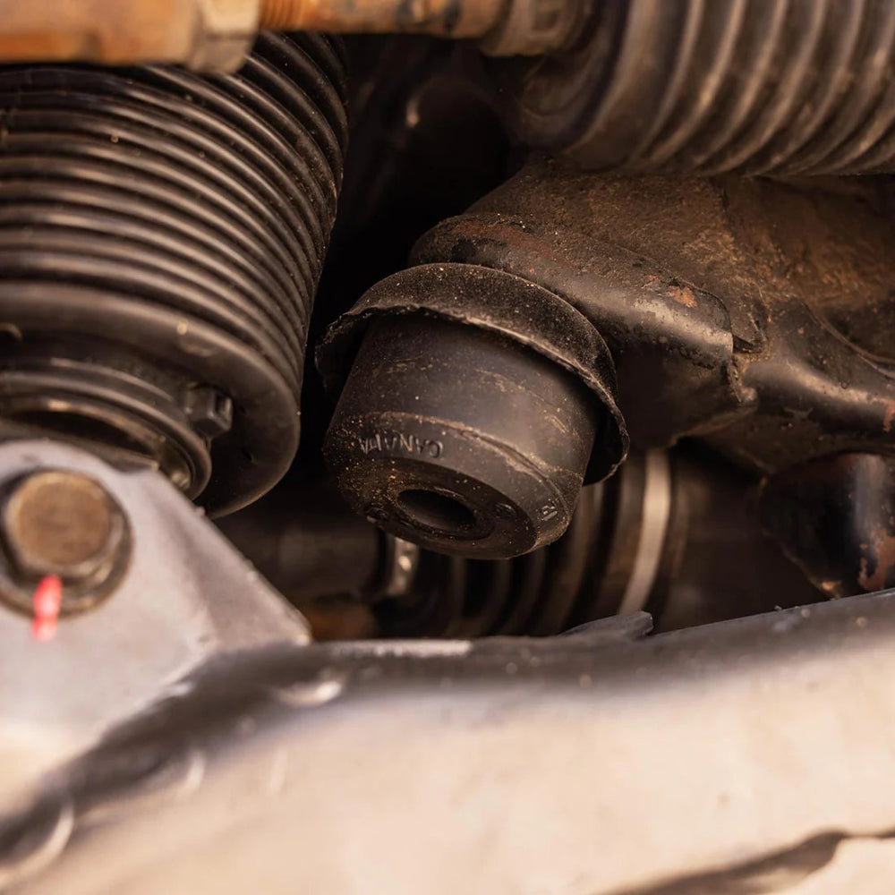 Active Off-Road Front Bump Stops Land Cruiser (2024+)