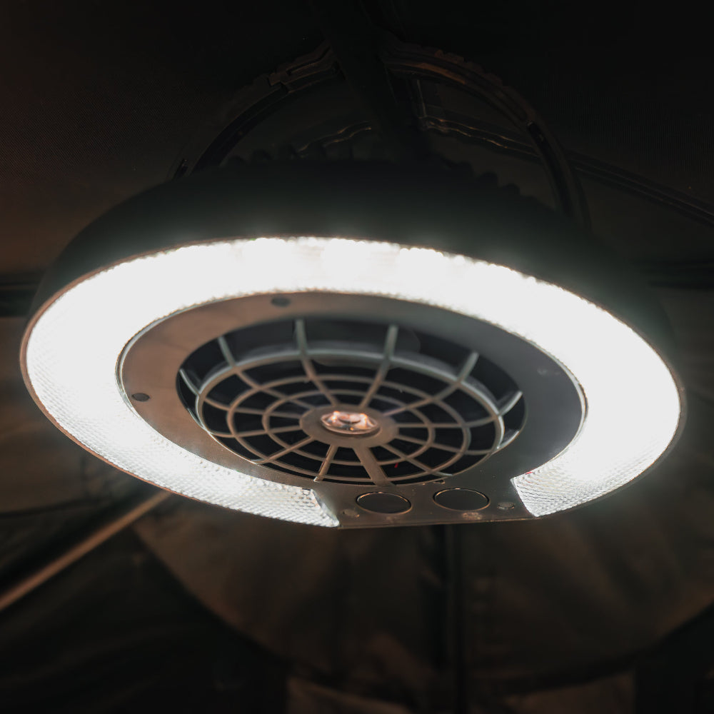 LED Fan Lamp