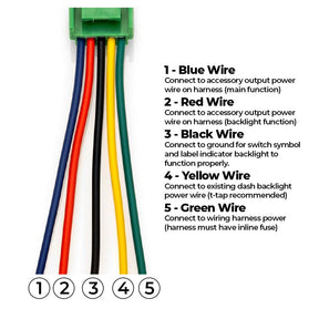 Reverse Lights & Backlight Dual Function Switch