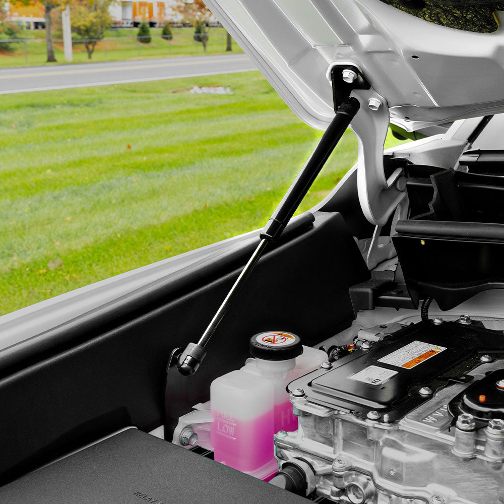 Hood Struts Tacoma (2024+) & 4Runner (2025+)