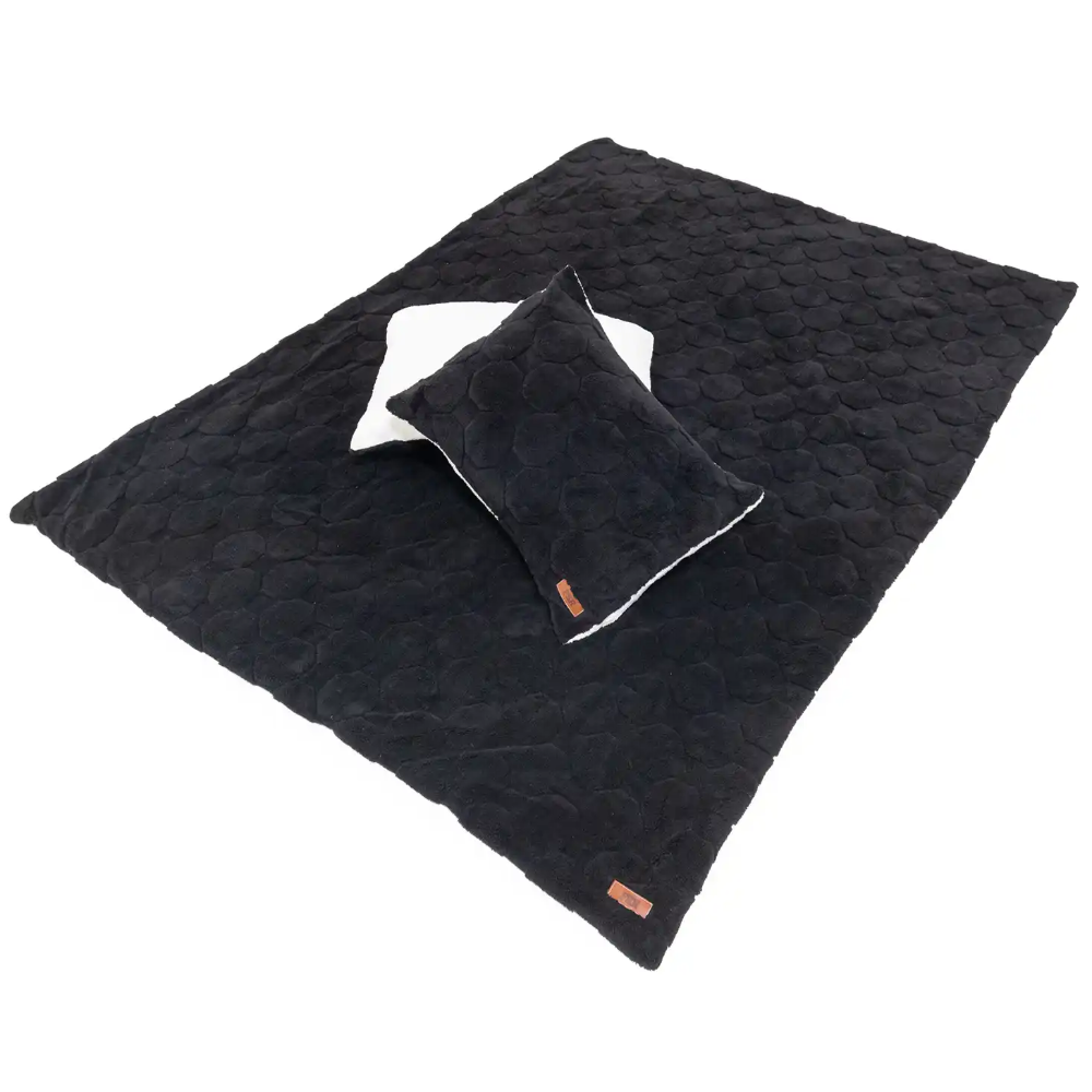 Freespirit Recreation Cloud Comforter and Pillow Case Set for rooftop tent camping on Toyota trucks