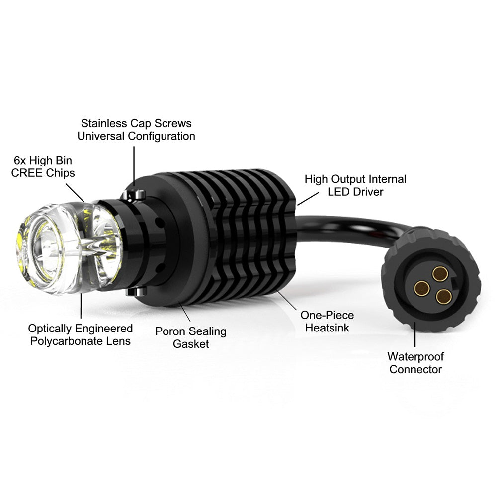 V6 Extreme Reverse Light Bulbs Tacoma (2016-2023)