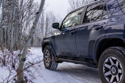 N-Fab TrailSlider Steps 4Runner (2010+)